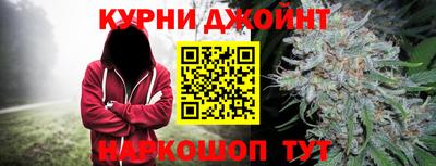 молекула духа Партизанск