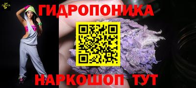 молекула духа Партизанск