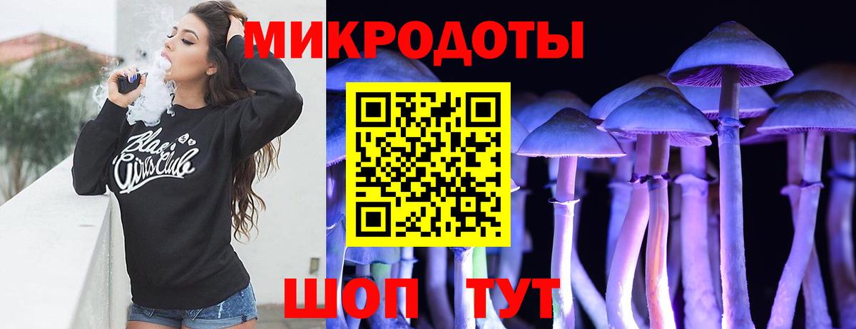 Псилоцибиновые грибы Cubensis Серпухов