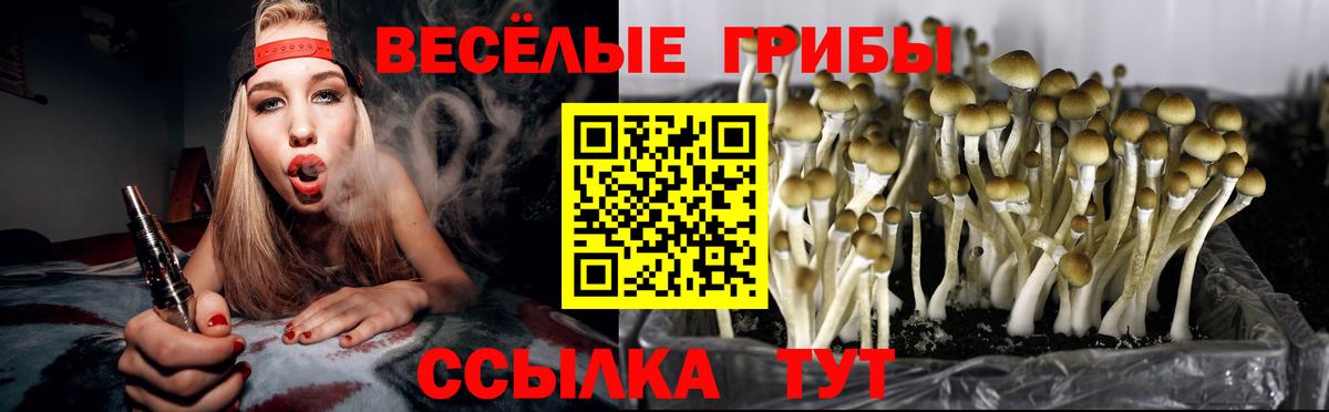 Псилоцибиновые грибы Psilocybine cubensis  закладки  Псилоцибиновые грибы мицелий  Серпухов  Вход с VPN 